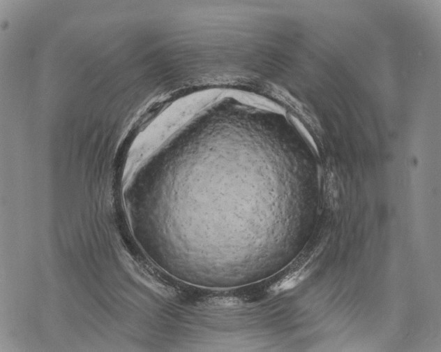 X0000072920203200608111519
