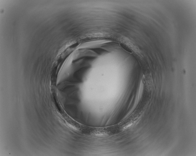 X0000072920207200608111518