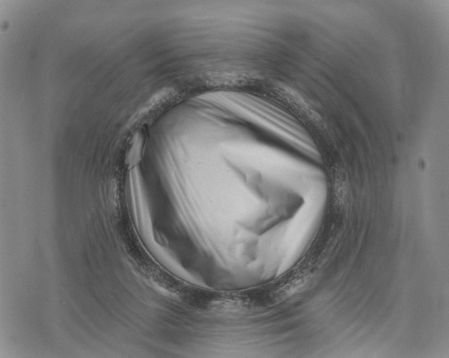 X0000072920211200608111518
