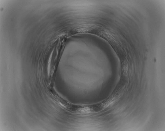 X0000072920219200608111518