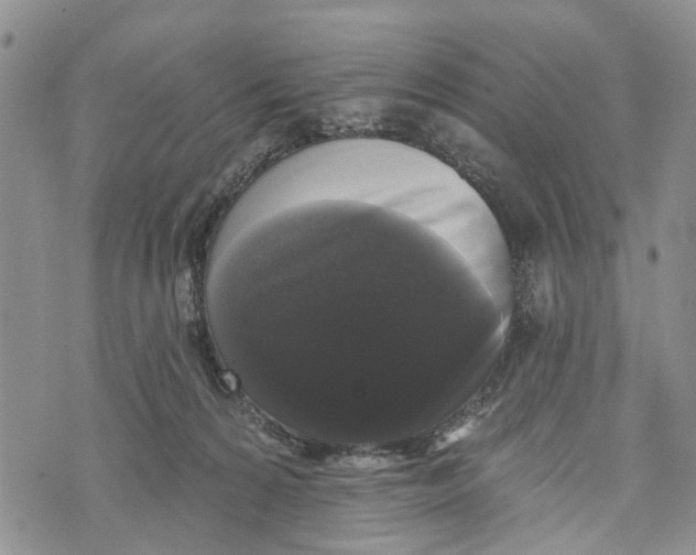 X0000072920224200608111518