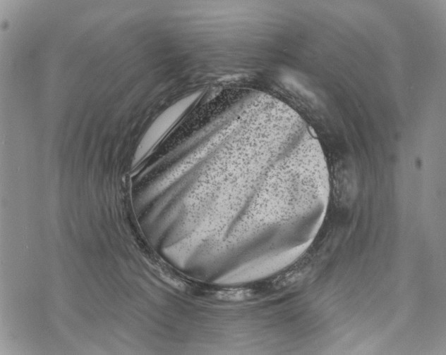 X0000072920225200608111518