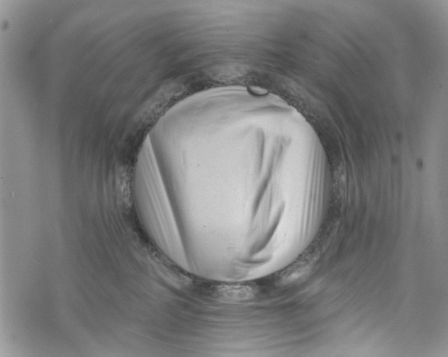 X0000072920234200608111518