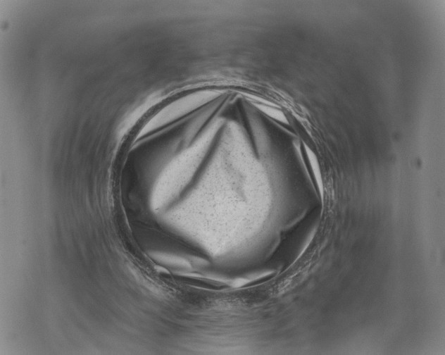 X0000072920248200608111517