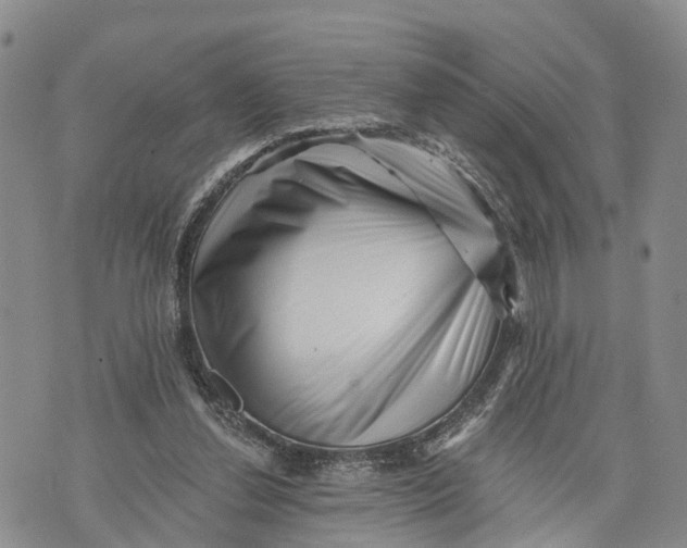 X0000072920252200608111517