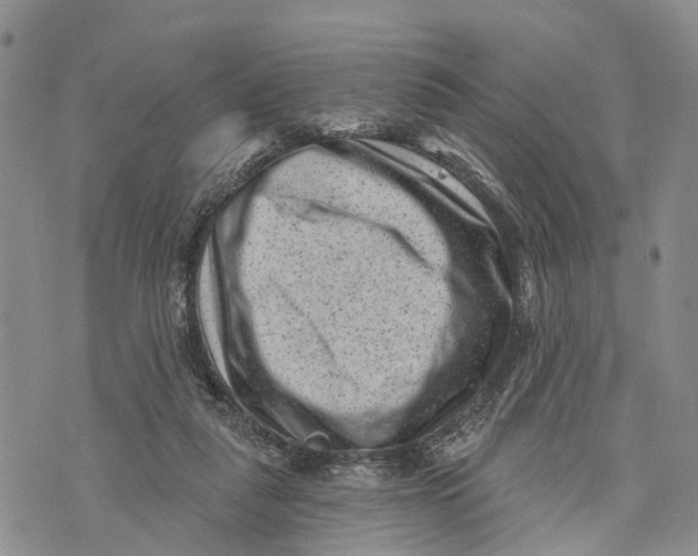 X0000072920259200608111517