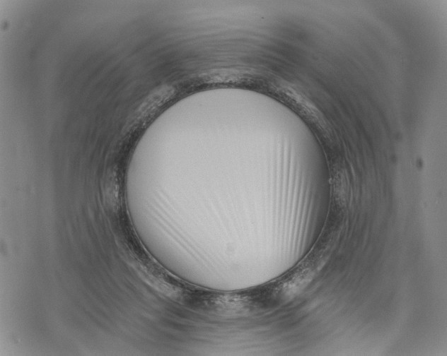 X0000072920261200608111517