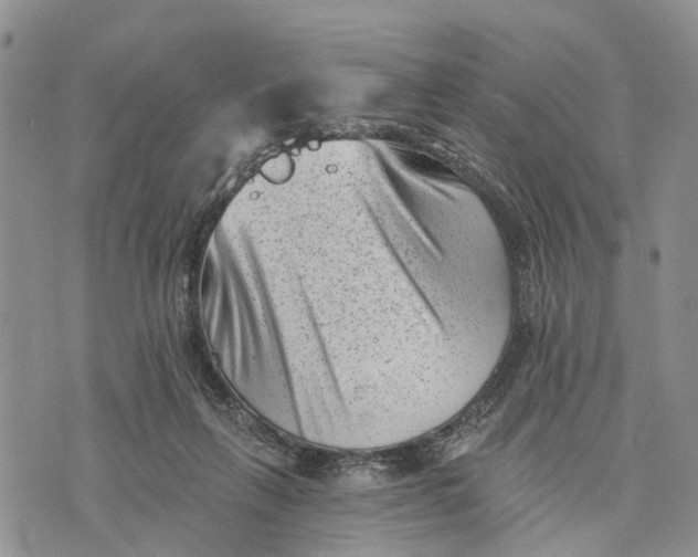 X0000072920263200608111517