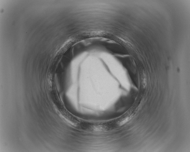 X0000072920264200608111518