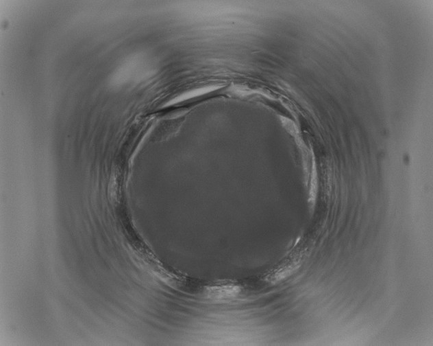 X0000072920266200608111518