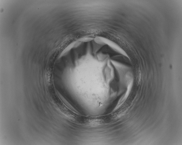 X0000072920268200608111518