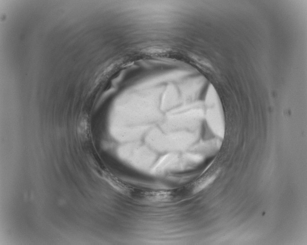 X0000072920288200608111518