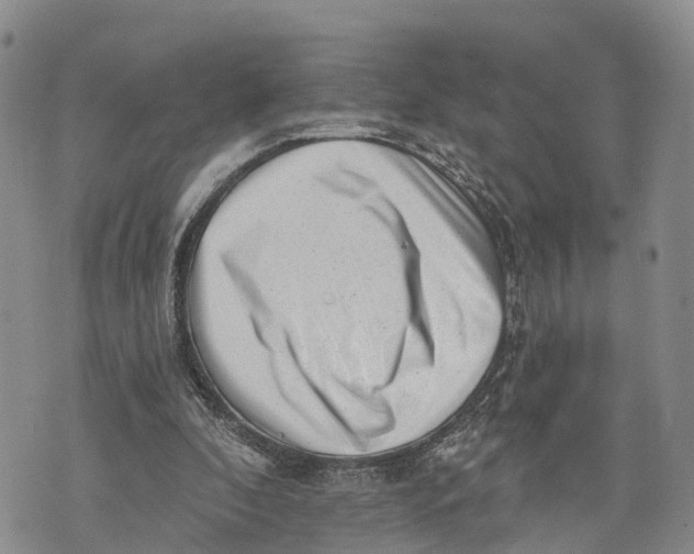 X0000072920296200608111517