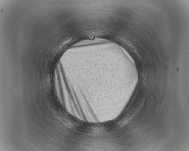 X0000072920308200608111517