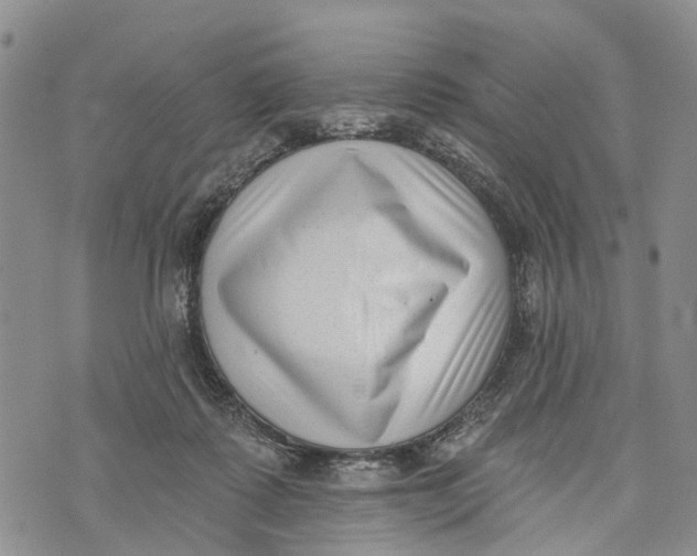 X0000072920315200608111517