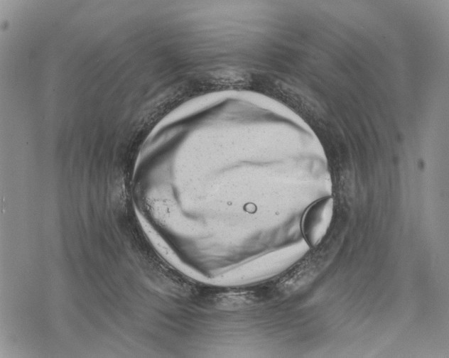 X0000072920320200608111517