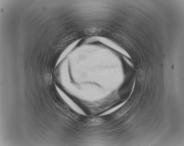 X0000072920324200608111517