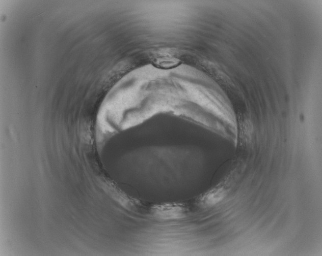 X0000072920331200608111516