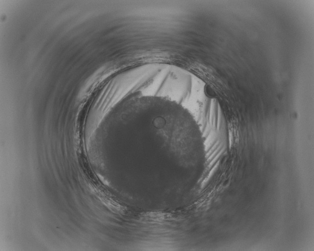 X0000072920339200608111516