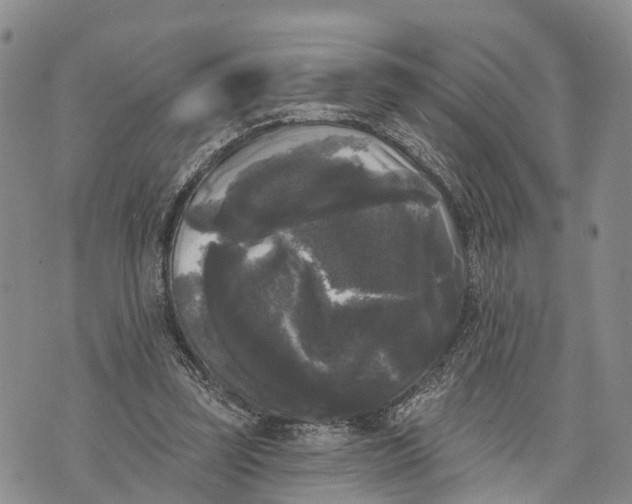 X0000072920347200608111516
