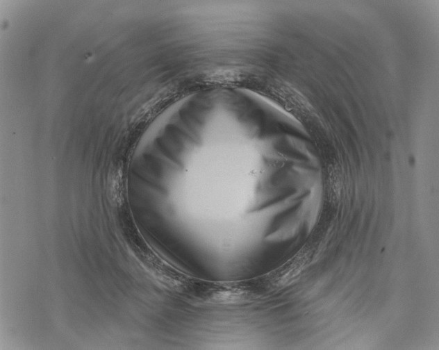 X0000072920364200608111516