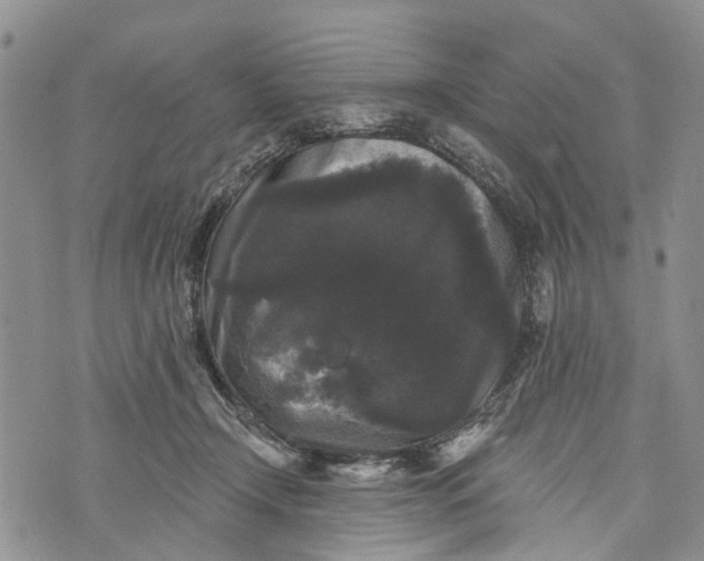 X0000072920366200608111516