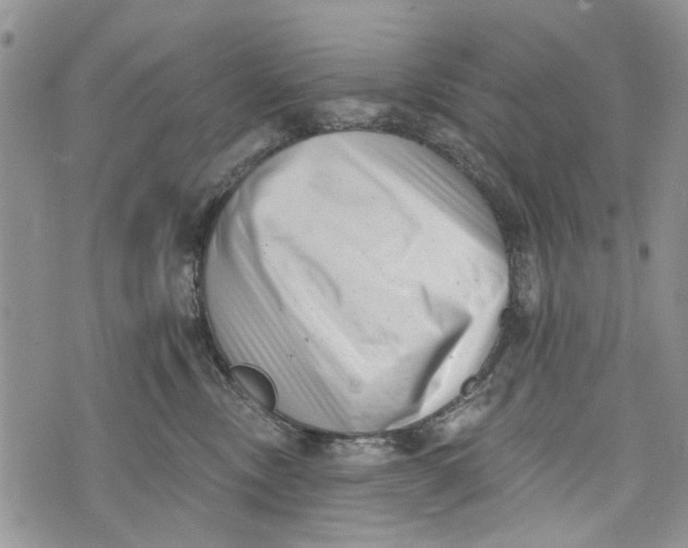 X0000072920378200608111516