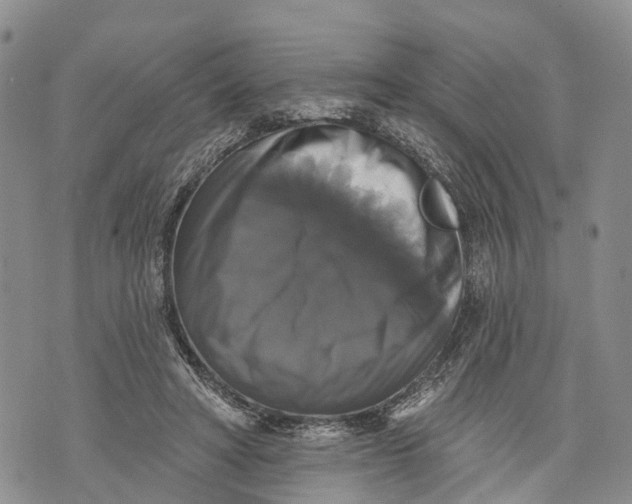X0000072920402200608111515