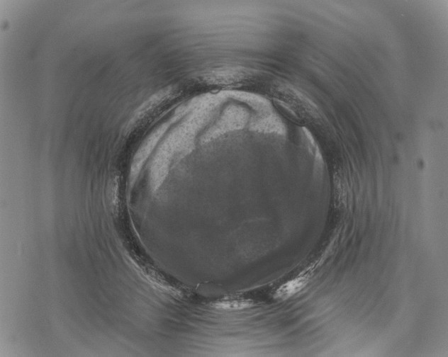 X0000072920404200608111515