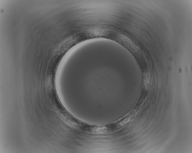 X0000072920410200608111515