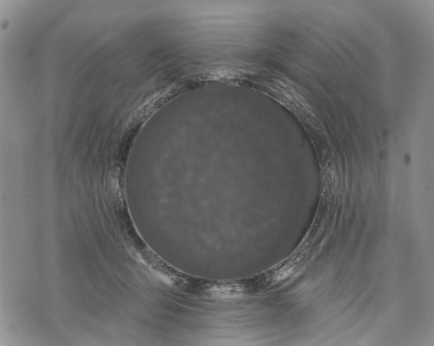 X0000072920415200608111515