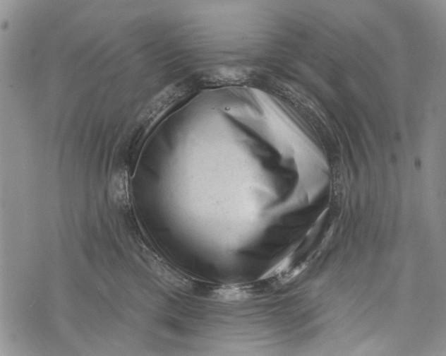 X0000072920425200608111515