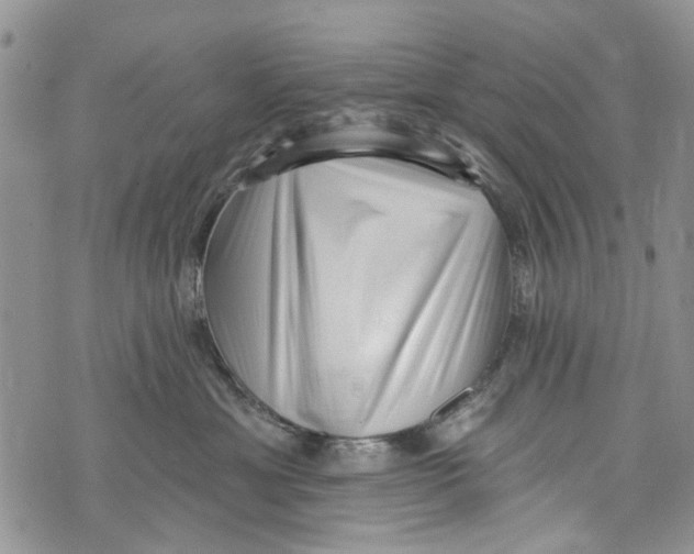 X0000072920429200608111515