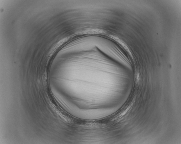 X0000072920437200608111514