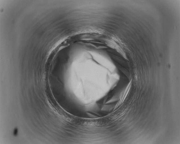 X0000072920440200608111514