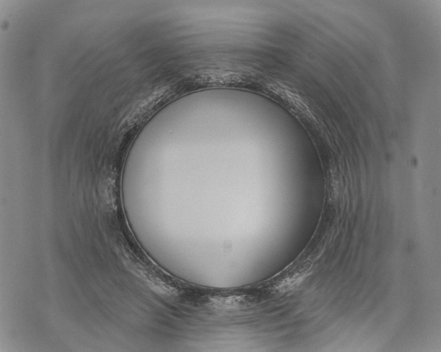 X0000072920450200608111514