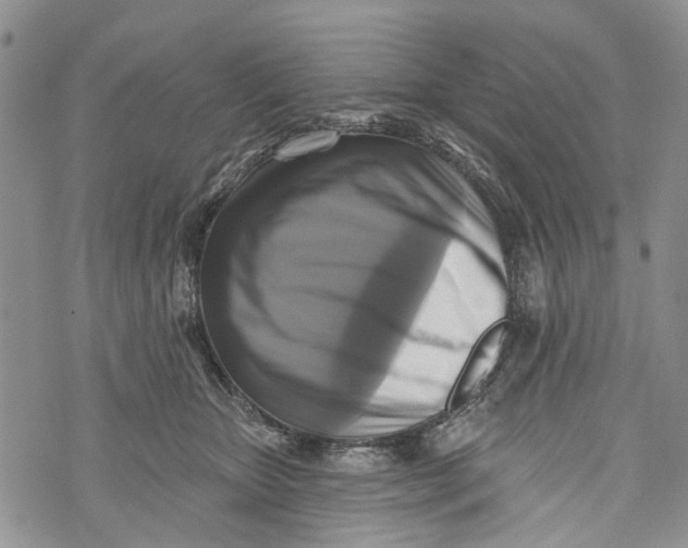 X0000072920467200608111515