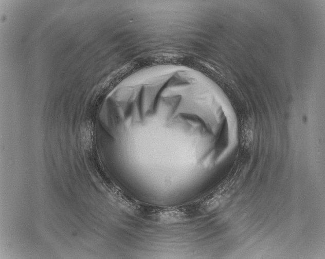 X0000072920468200608111515