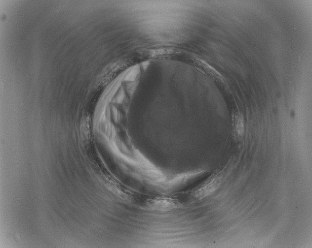 X0000072920475200608111515