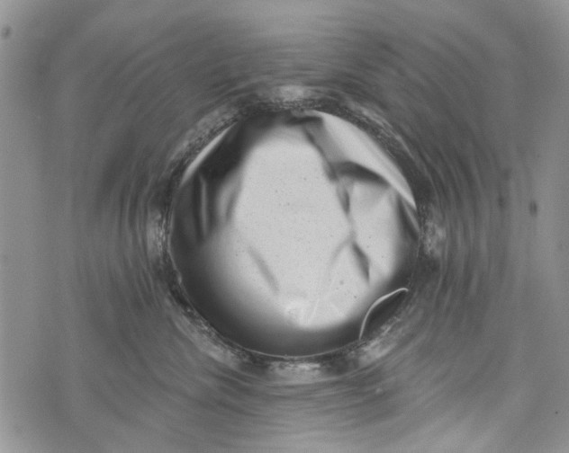 X0000072920476200608111515