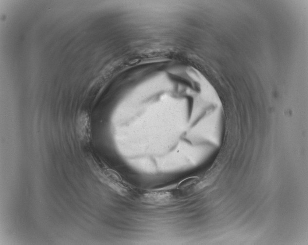 X0000072920480200608111515