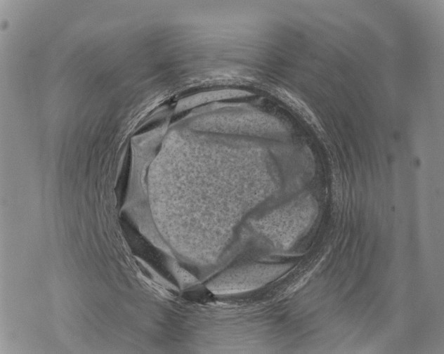 X0000072920481200608111514