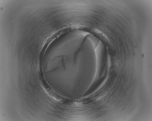 X0000072920496200608111514