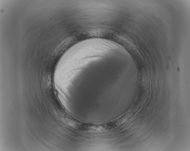 X0000072920502200608111514
