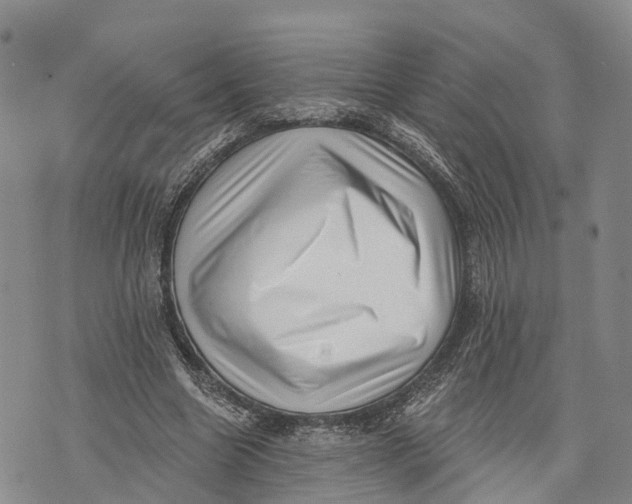 X0000072920538200608111512