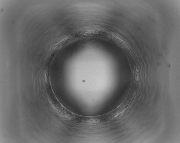 X0000072920546200608111513