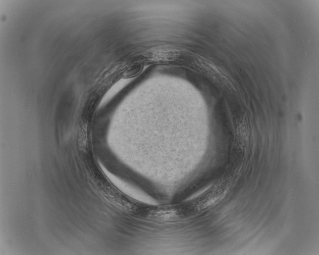 X0000072920554200608111513