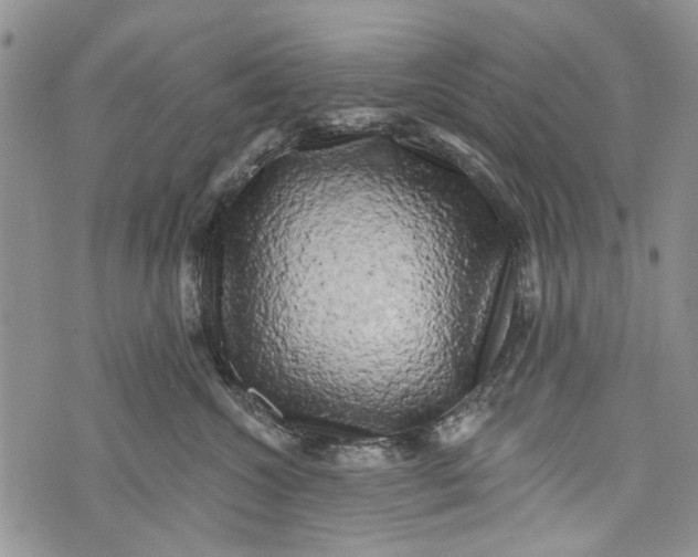 X0000072920572200608111513