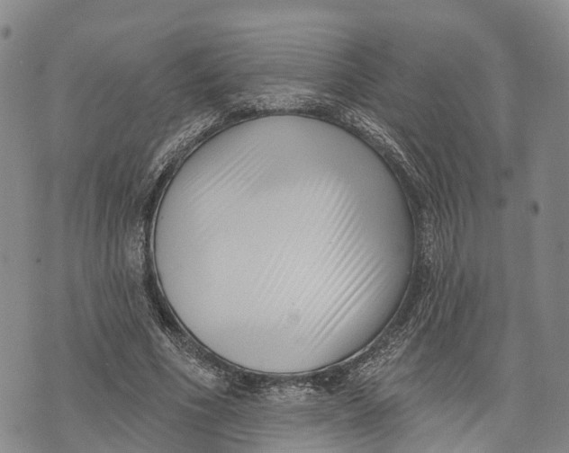 X0000072920586200608111512