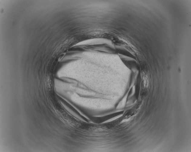 X0000072920597200608111512